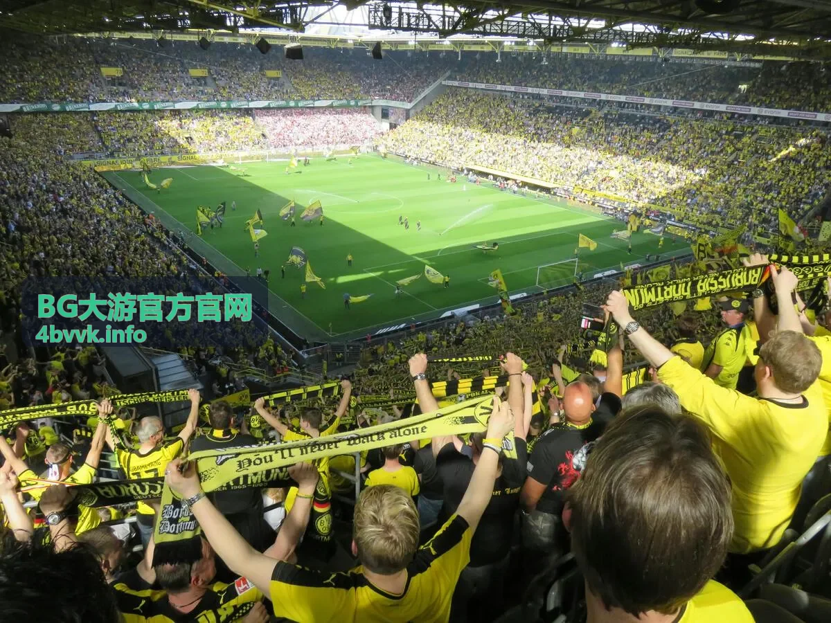 BG大游官方官网新用户操作界面展示